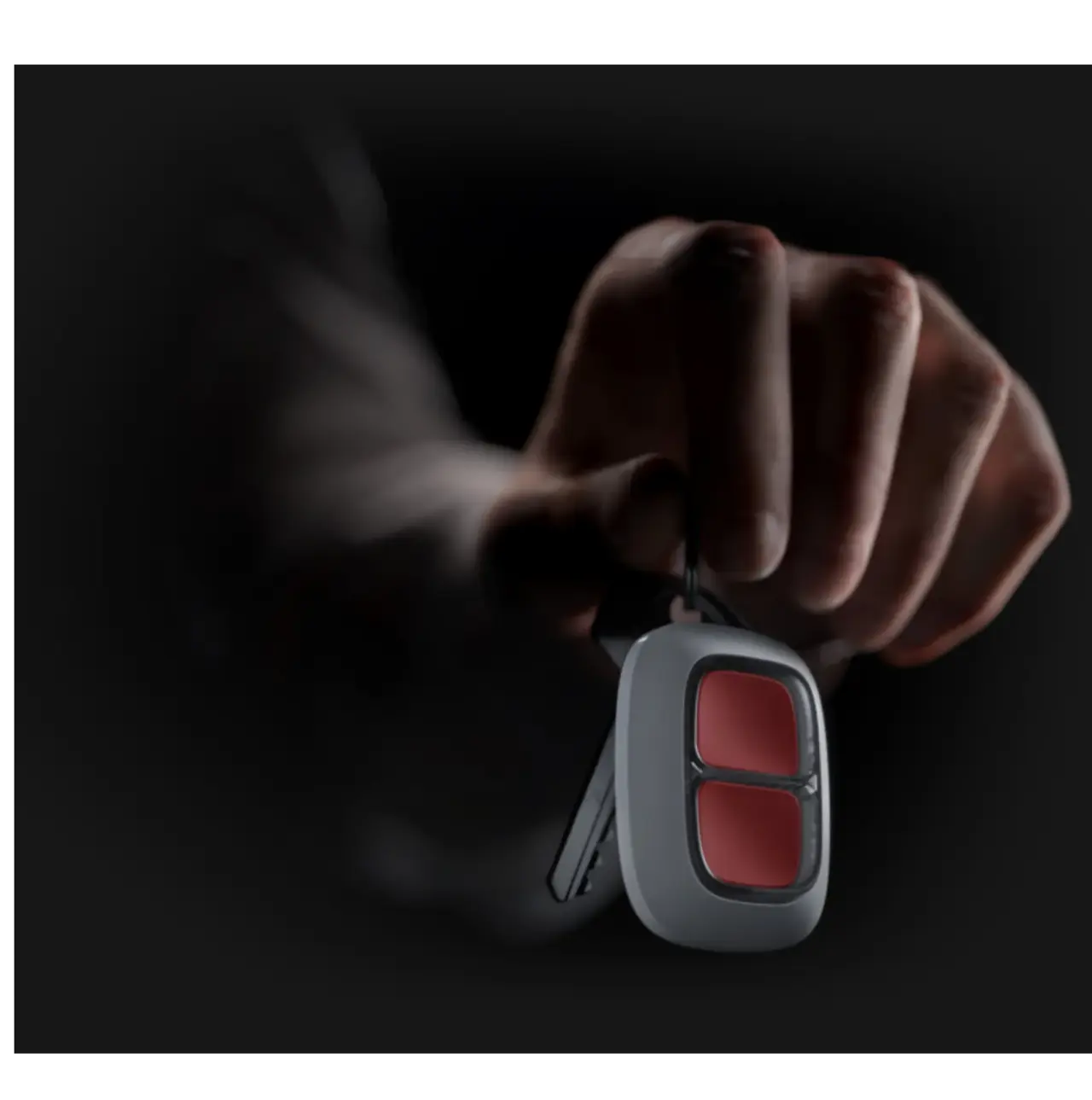 Noodknop alarm